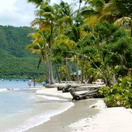 Villas Créoles Sainte-Anne Esterno foto